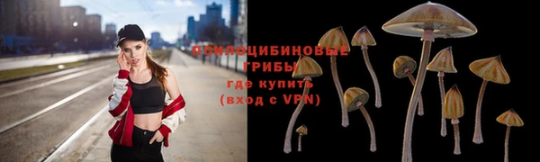 герыч Горно-Алтайск