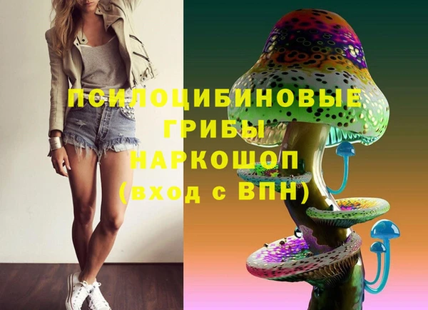 spice Горняк