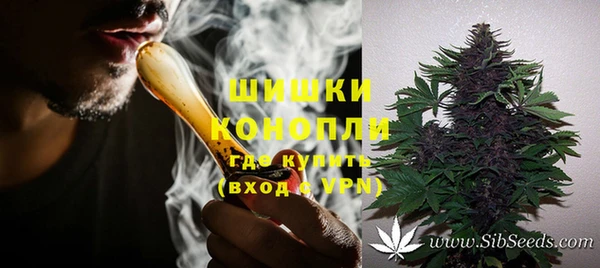 spice Горняк