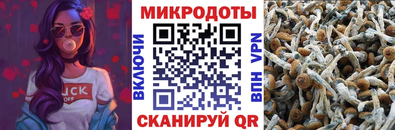 Купить  Зима  Галлюциногенные грибы Psilocybine cubensis 