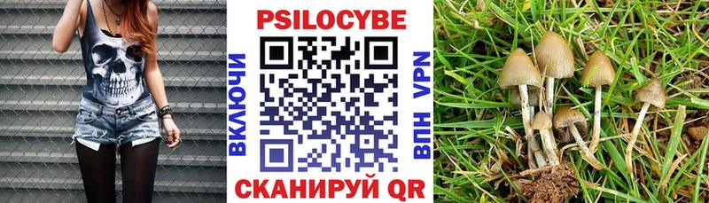 Псилоцибиновые грибы Psilocybe Зима